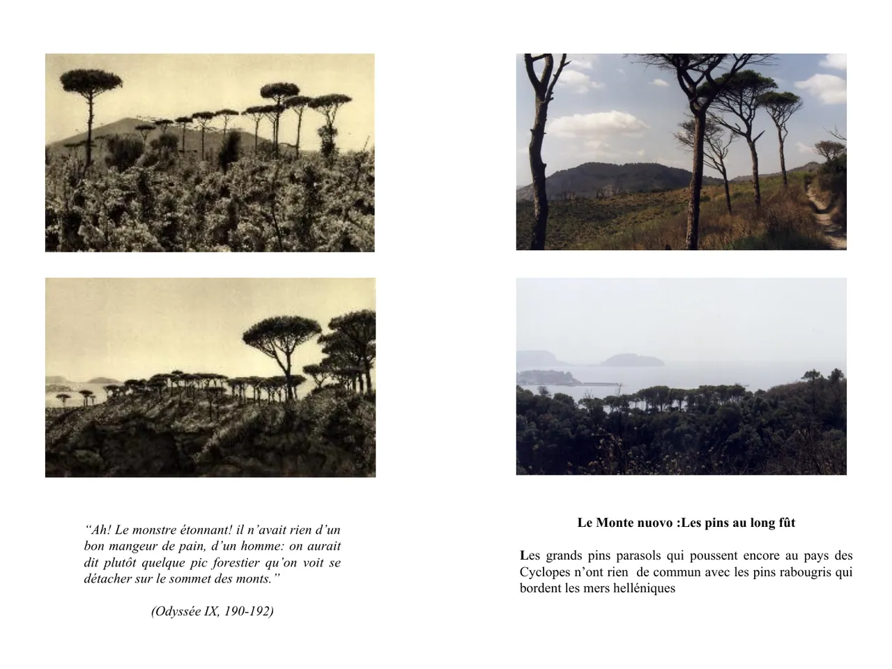 Dans le sillage d'Ulysse — Fred Boissonnas, 1913  │  Dominique Roux & Daniela Kleeberg, 2000