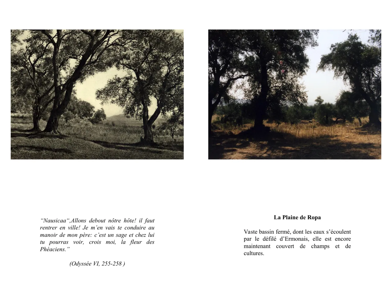 Dans le sillage d'Ulysse — Fred Boissonnas, 1913  │  Dominique Roux & Daniela Kleeberg, 2000