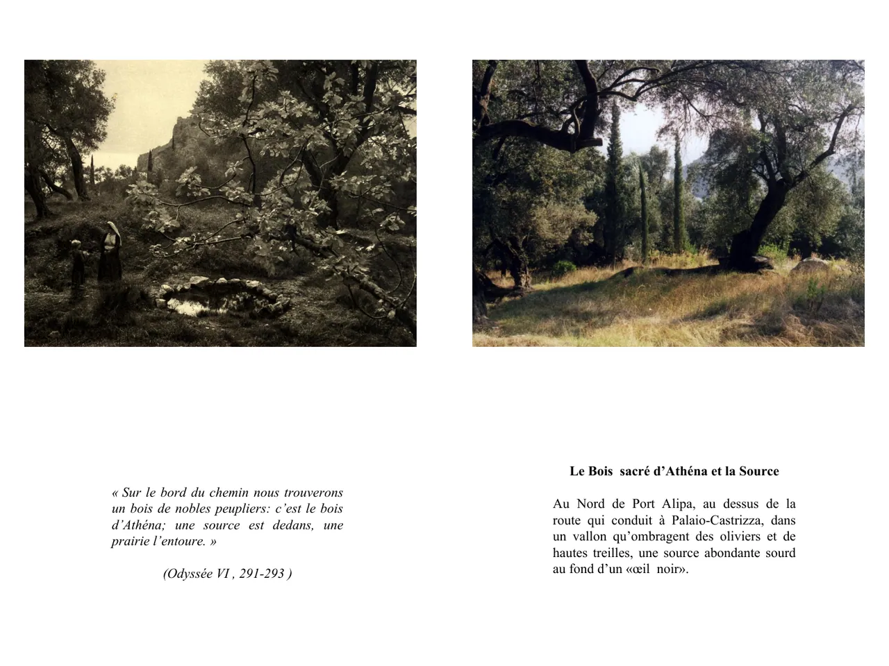 Dans le sillage d'Ulysse — Fred Boissonnas, 1913  │  Dominique Roux & Daniela Kleeberg, 2000