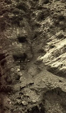 Le Voyage