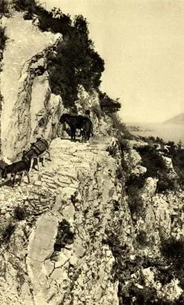 Le Voyage