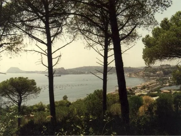 Le Voyage