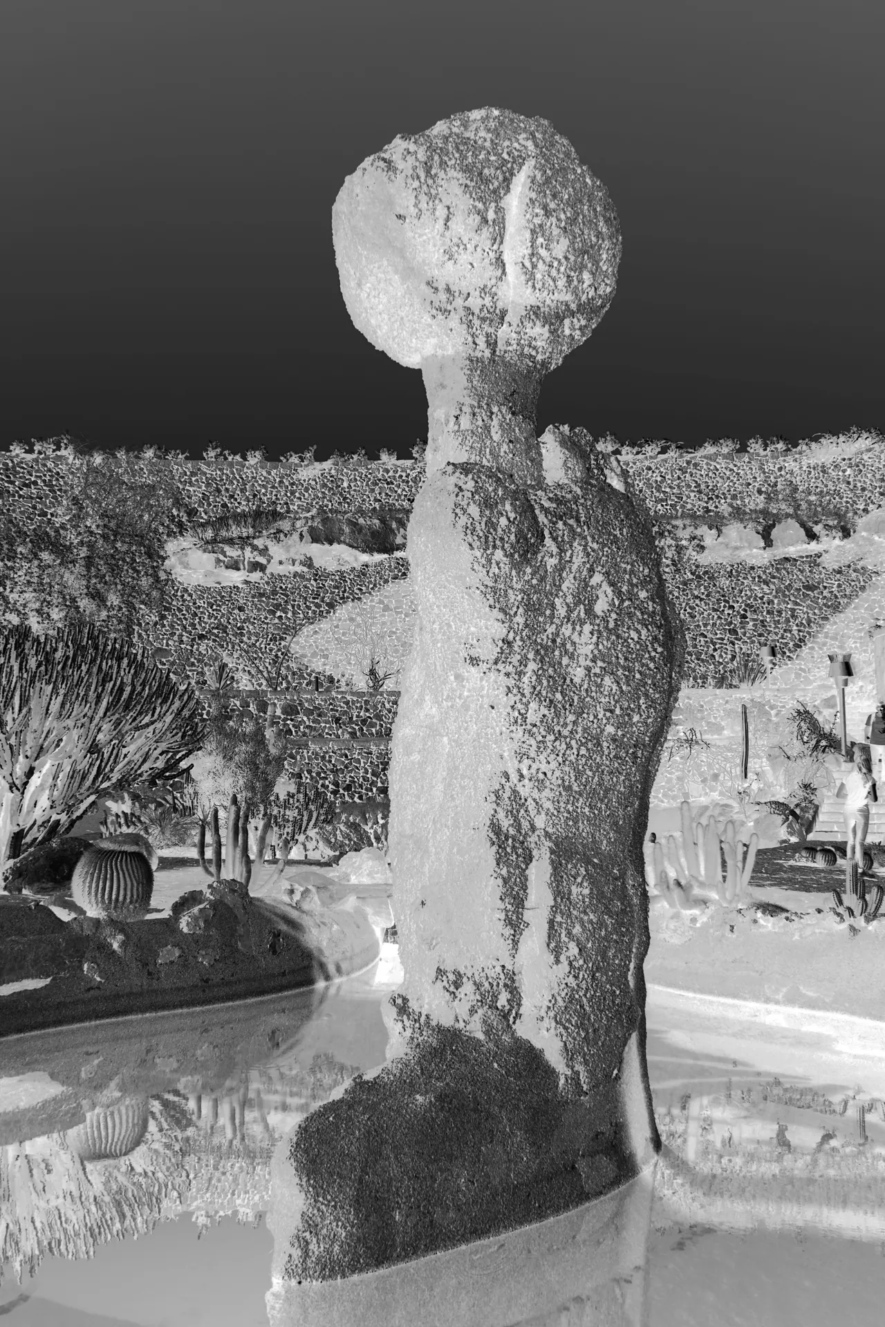 Paysages improbables — Cactus